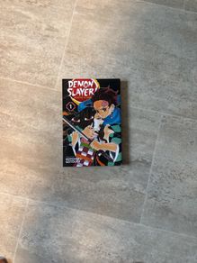 Demon Slayer manga book 1