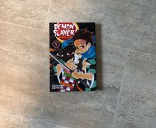 Demon Slayer manga book 1