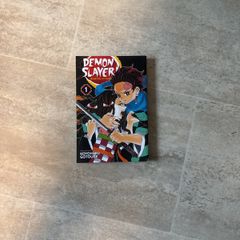 Demon Slayer manga book 1