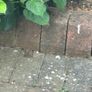 Cobble driveway Image 3