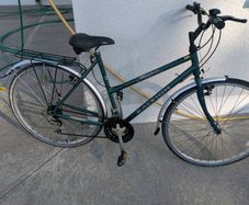 Raleigh Pioneer Ladies Bicycle