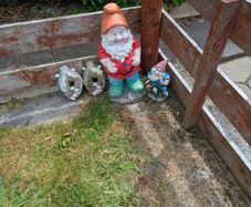 garden gnomes