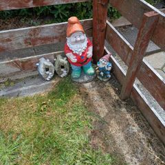 garden gnomes