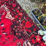 Antique Persian Carpet Image 3