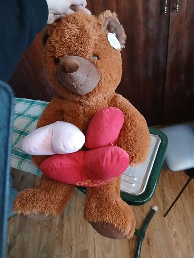 Brand new teddy bear with hearts
