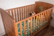 Cot