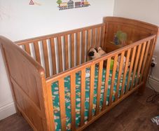 Cot