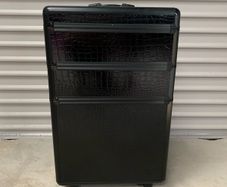 professional cosmetic case