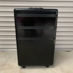 professional cosmetic case