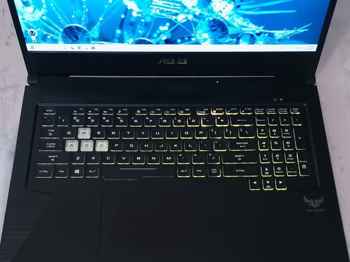 Asus Turf Gaming Laptop