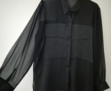 ZARA Black Sheer Long Sleeve Button Down Blouse
