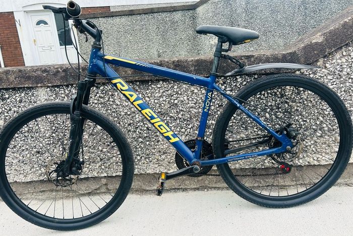 rayleigh bicycle