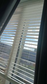 White wooden blinds