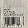 2 250w Siccatherm Light Bulbs Image 2