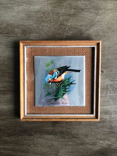 Set of 5 Vintage Wooden Framed Bird Pictures