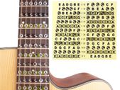 Guitar Fretboard Note Position Stickers