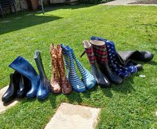 Wellington boots