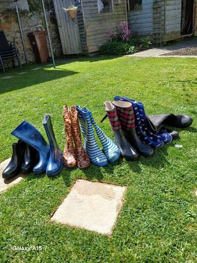 Wellington boots