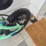 Muna Kids bike 14" Image 4