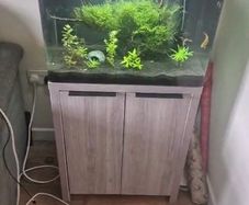 aqua nano 60 tank