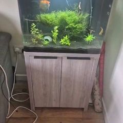aqua nano 60 tank