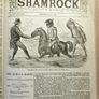 The SHAMROCK. 51 editions. National Magazine of Ireland News politics Illustrated. 1892. Rare antique book, novel. Image 8