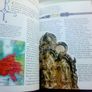 World History Book Image 4