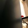 ping-pong Image 4