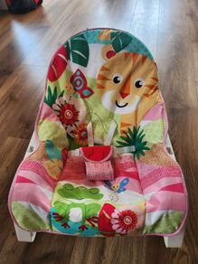 Fisher Price Infant to Toddler Rocker