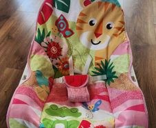 Fisher Price Infant to Toddler Rocker