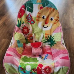 Fisher Price Infant to Toddler Rocker