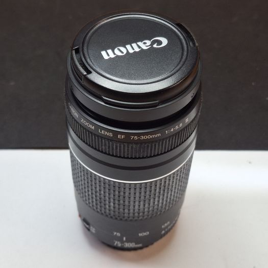 Canon EF 75-300mm f/4-5.6 Mark III Telephoto Zoom Lens Used Condition