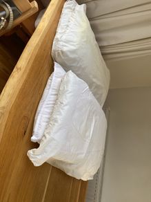 4 adult pillows