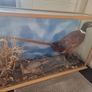 pheasants Stuffed Image 2