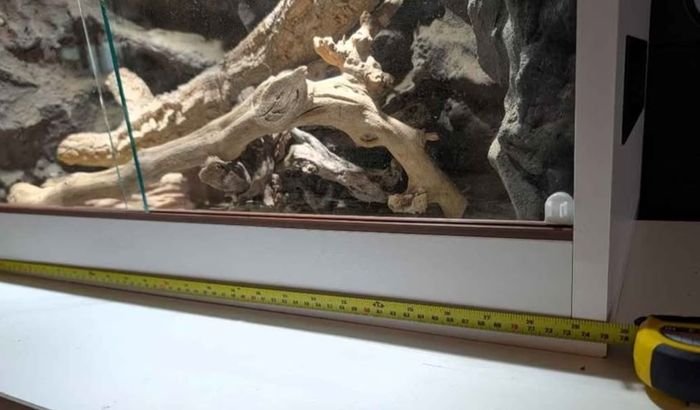Reptile Vivarium/Tank