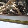 Reptile Vivarium/Tank Image 5