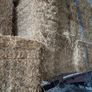 Straw Image 2