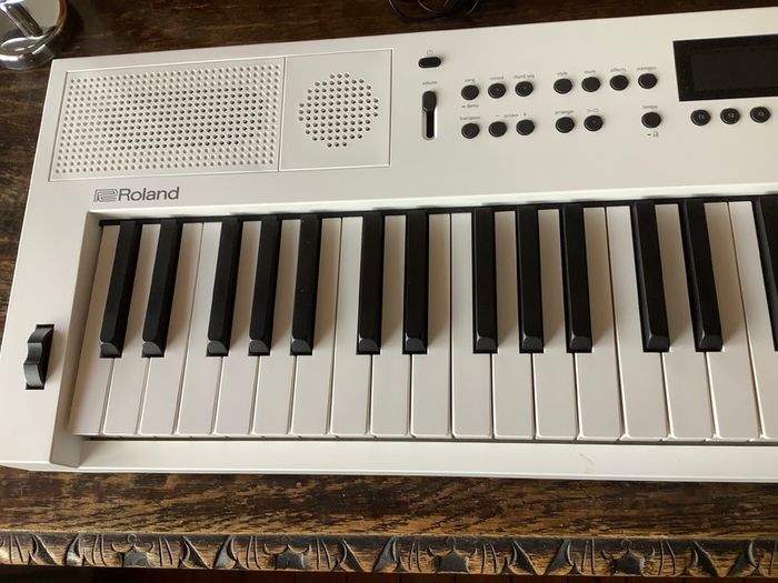 Roland GO:KEYS 5 mint