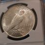 Mint State Peace Dollar Image 3
