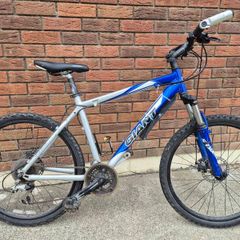 Adult Mountain Bike