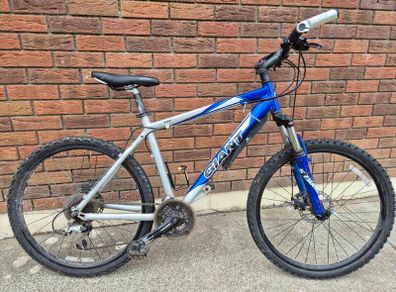 Adult Mountain Bike