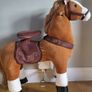 Pony cycle Image 2