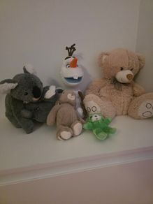 Teddies