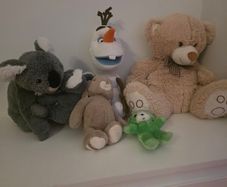 Teddies