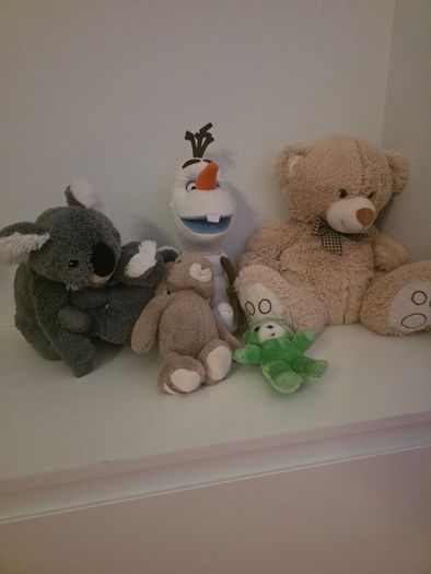 Teddies