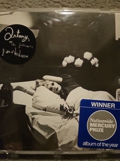 Antony And The Johnsons - I am A Bird Now.
