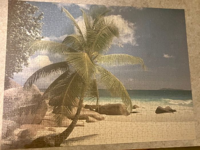 jigsaw puzzle 1000 FREE beach palm tree
