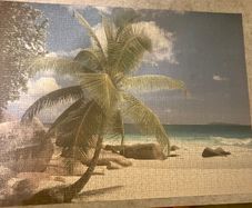 jigsaw puzzle 1000 FREE beach palm tree