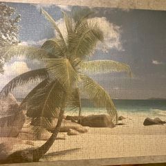jigsaw puzzle 1000 FREE beach palm tree