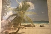 jigsaw puzzle 1000 FREE  beach palm tree
